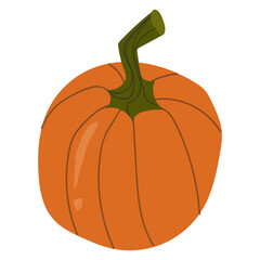 Orange whole pumpkin, autumn decorative.