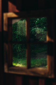 Reflection in a mirror