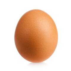 Chicken egg is large, dark, isolated on a white background