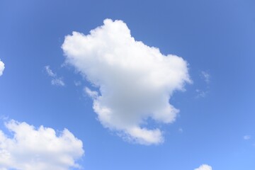 Obraz na płótnie Canvas white clouds in the summer sky
