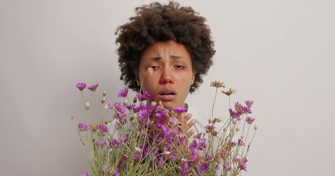 Discontent Afro American woman experiences unpleasant symptoms because of allergy sneezes constantly holds bouquet of wildflowers has runny nose and swollen eyes isolated over white studio wall