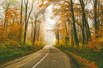 Fototapeta premium curvy road in beautiful foggy forest in autumn