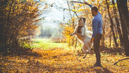 Fototapeta premium happy dog and man playing in autumn forest