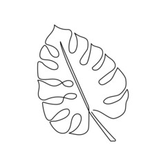 Monstera leaf continuous line drawing. One line art of tropical leaves, herb, palm, plants.
