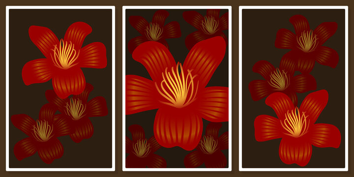bright red bombax ceiba flowers  wall art vector set, for wall art, poster, wallpaper, print