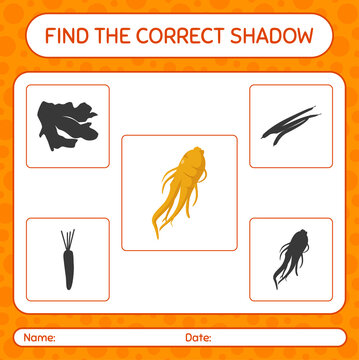 Find the correct shadows game with ginseng. worksheet for preschool kids, kids activity sheet