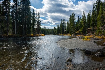 Down Stream of Cave Falls