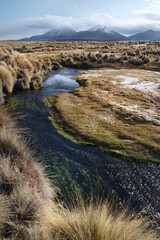 A gentle stream weaves its way through Sajama National Park in the Bolivian Andes. Volcanoes straddling the border between Chile and Bolivia are seen in the background. - 447976066