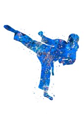 Taekwondo Girl Kick blue watercolor art, abstract sport painting. blue sport art print, watercolor illustration artistic, decoration wall art. © Yahya Art