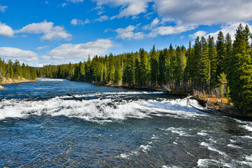 Up Stream of Cave Falls