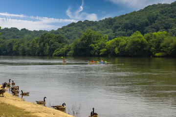 people rowing down the Chattahoochee river in colorful kayaks with lush green trees reflecting off the water with blue sky and clouds at Azalea Park in Roswell Georgia © Marcus Jones