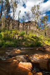 a waterfall with trees on the side of a river