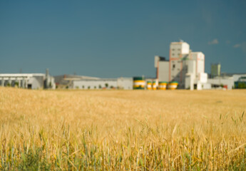 Blurred factories in wheat fields background 