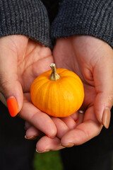A small pumpkin cradled in a woman's hands.