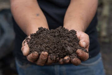 Organic compost fertilizer in the hands of the producer