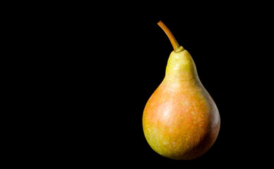 Ripe pear fruit isolated on black background cutout object agricultural eco organic harvest.