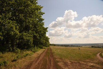 road in the field