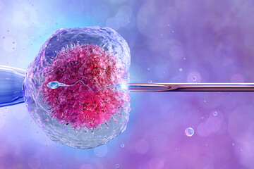 Human artificial insemination, in vitro fertilization, reproduction. Female egg cell, needle puncture the cell membrane, cell injection, sperm, ovum, zygote. IVF fertility treatment medicine, 3D image - obrazy, fototapety, plakaty