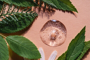 A drop of cosmetic gel on a beige background surrounded by plants and leaves.