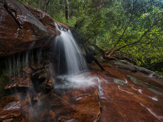 small waterfall in the bushland