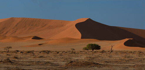 Fototapeta na wymiar Namibian Red Sands Landscape