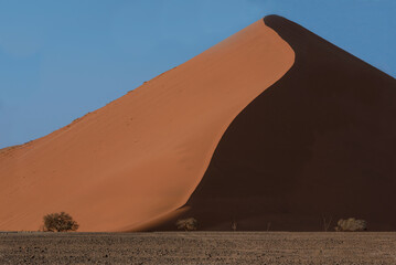 Fototapeta na wymiar Sculpted Dunes at Sossusvlei