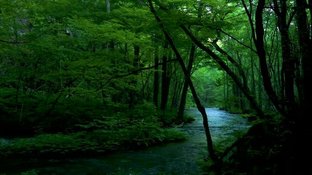 奥入瀬渓流と白布の滝