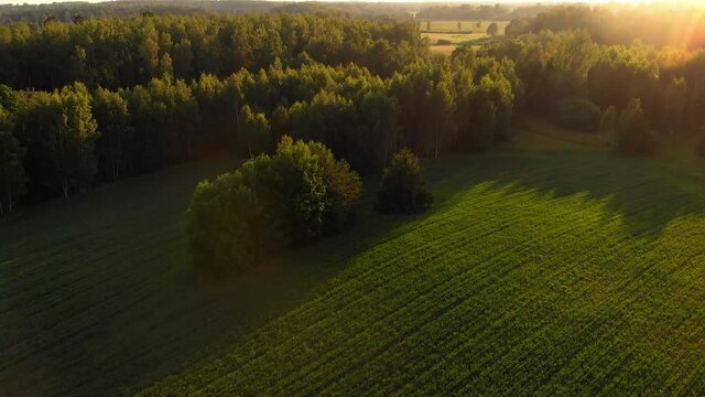 Forest conservation Dadia Thrace Greece aerial drone