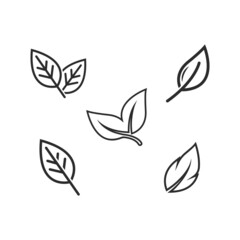 Fototapeta na wymiar organic leaves line icon vector design template