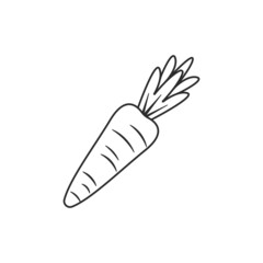 carrot line  icon vector illustration design template
