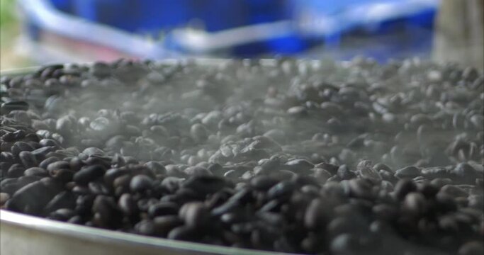 Roasting organic and artisan , brown Coffee Beans with steam. tracking shot, close up, side view, in latin america, Dominican Republic 