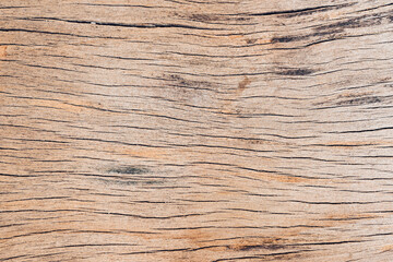 Naklejka premium Old wood board, copy space wooden texture pattern background