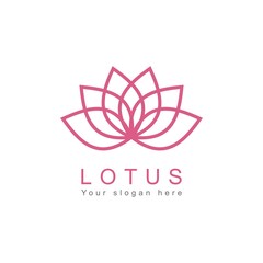 Beauty Lotus flowers