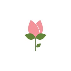 Rose flower illustration