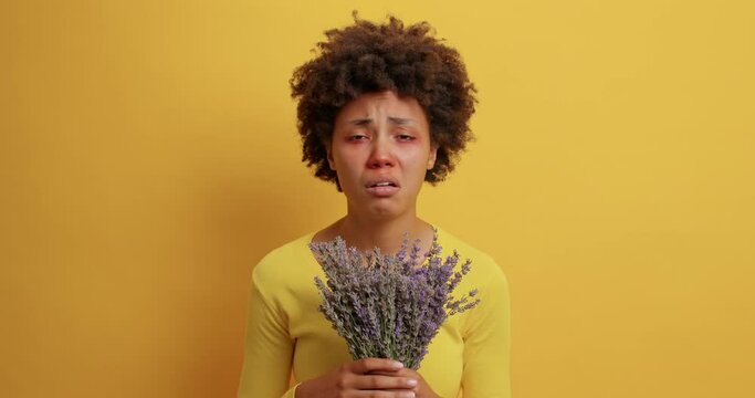 Displeased curly Afro American woman reacts to inappropriate or misguided reaction to foreign substances suffers from allergy holds lavender isolated over yellow background. Hay fever symptoms