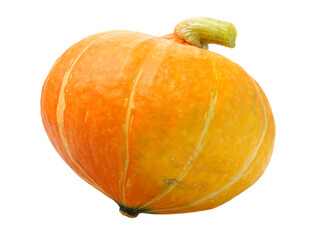 Orange pumpkin on white background 