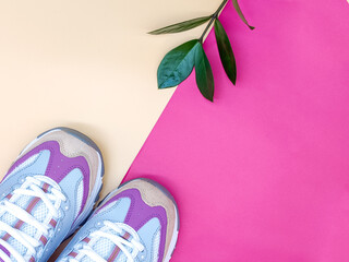 Pair of new stylish sneakers with green plant's twig on a colorful pink orange background, flat lay