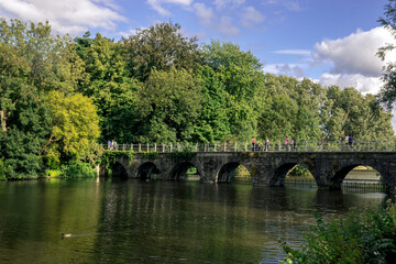 Fototapeta na wymiar stone bridge on river in Bruges in the middle of the forest