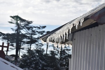 snow covered house