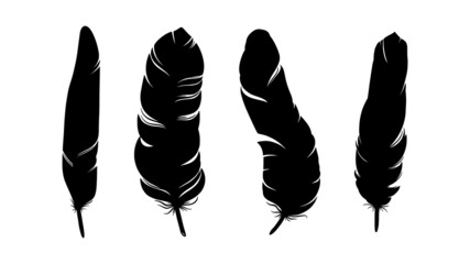 Bird feather silhouette. Decorative set of feathers isolated in white background. Hand drawn vector illustration