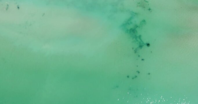 Bird's Eye View Of Turquoise Water And Seashore In Balchik, Bulgaria - aerial drone shot