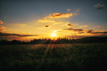 Fototapeta premium sunset over the field