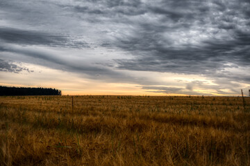 sunset over the field