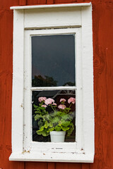 Hofsnas, Sweden Architectural details from a farm, an old window and flowers.