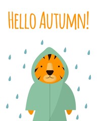 Vector Postcard, Hello Autumn. Autumn card with a tiger in a green raincoat. Tiger cub in a raincoat in the rain. Cute little tiger. Flat style. Cartoon tiger on a white background.
