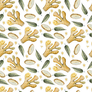 Watercolor ginger root, Hand drawn ginger illustration isolated on white background, seamless pattern, Organic healthy food ingredient for farmer market, restaurant menu, wallpaper, harvest festival