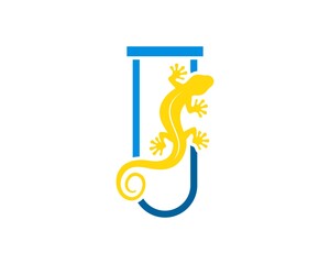 Simple bottle laboratory with lizard inside