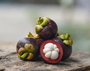 mangosteen fruit isolated on background