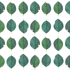 Obraz premium green leaves pattern