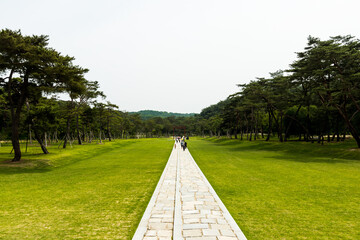 path in the park